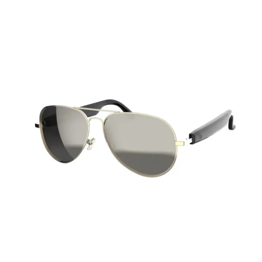 Green Lion - Helsinki Smart Glasses