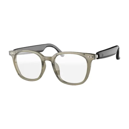 Green Lion - Stockholm Smart Glasses